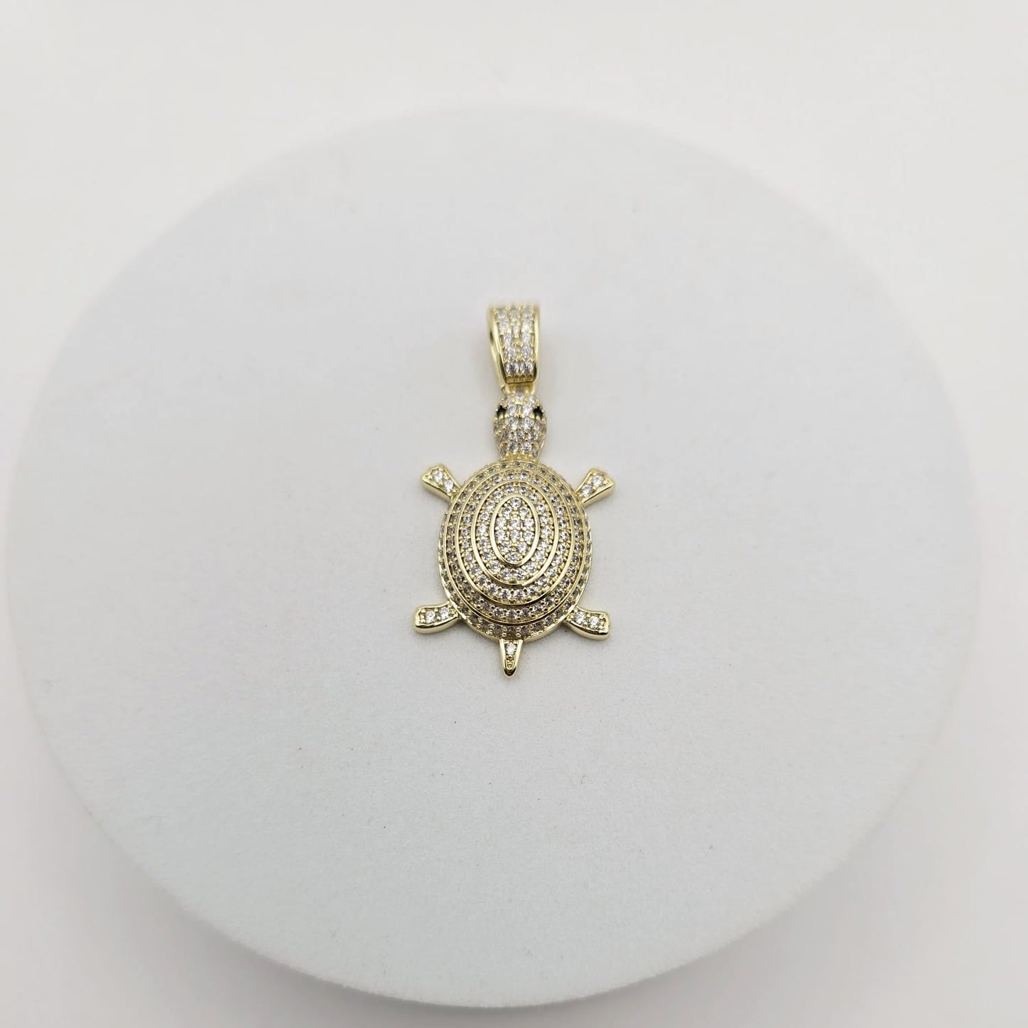 Tortuga Zirconias xp