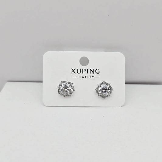 Aretes Flor Plateada xp